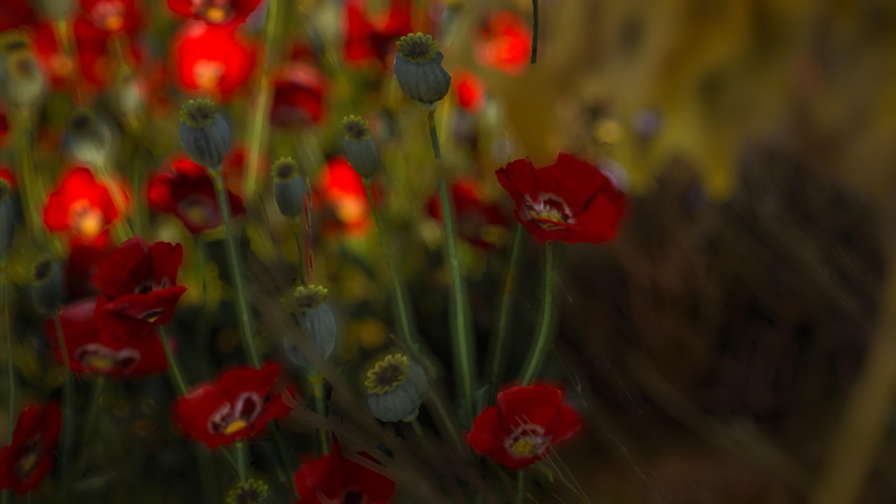 Studies on Breaking Immersion